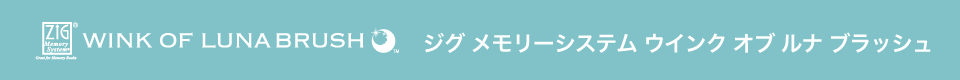 ZIG メモリーシステム ウインク オブ ルナ ブラッシュ